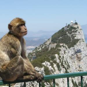 Excursión a Gibraltar