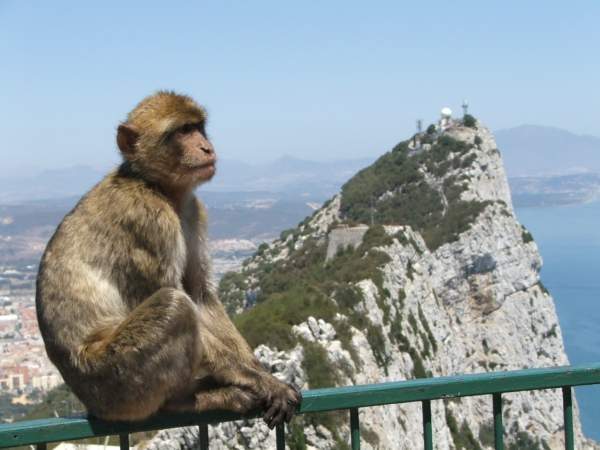 Excursión a Gibraltar